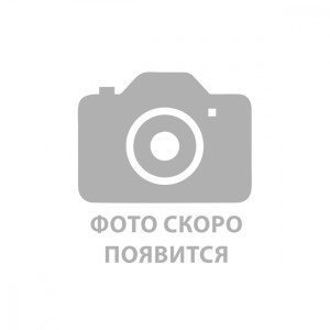 Счетчик с импульсным выходом DS04TAR/LC-32E, ДУ32
