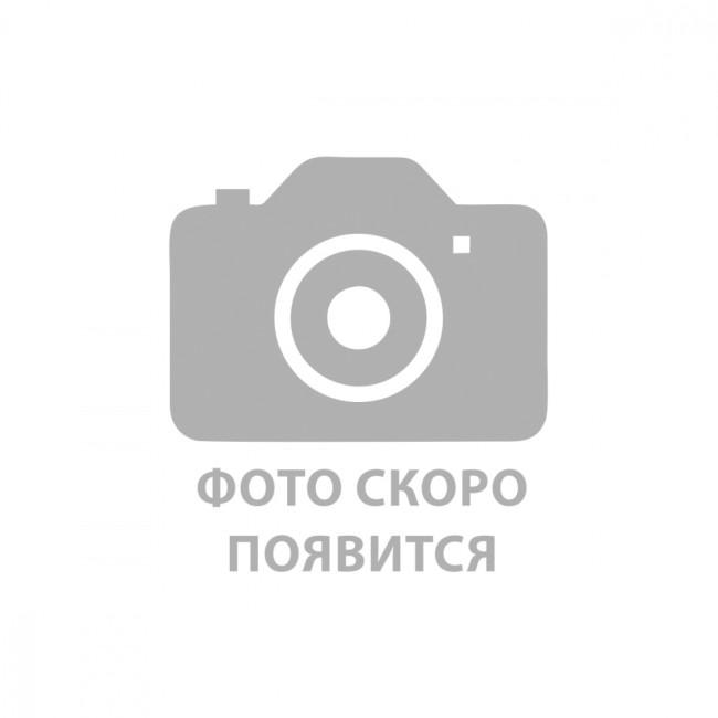 Счетчик с импульсным выходом DS04TAR/LC-40E, ДУ40 Счетчик с импульсным выходом DS04TAR/LC-40E, ДУ40